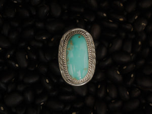 Touch of Turquoise Ring