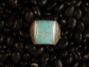 Turquoise Scales Signet Ring